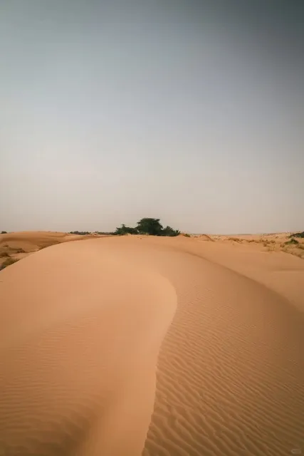Chinguetti, Mauritania 🇲🇷 | An Off-the-Grid Desert Adventure