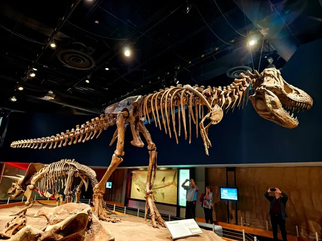 D16 Step into the Archaeological Time-Space 