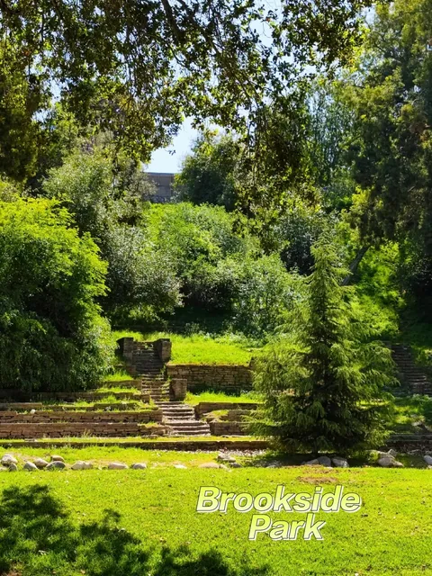 Wisteria Gathering: Brookside Park 🌸✨