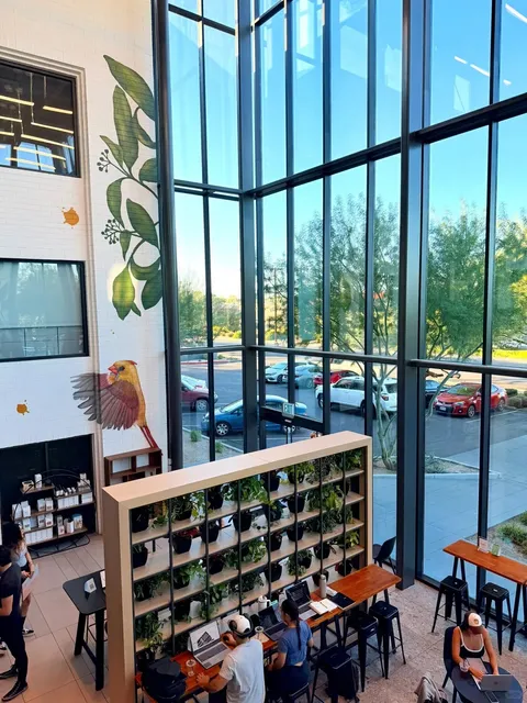 Phoenix City｜Discover a city oasis where you can slow down🍃