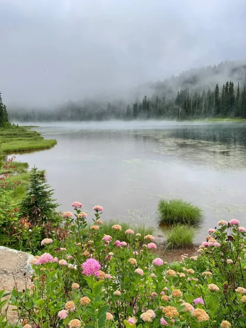  Washington’s Most Breathtaking Wildflower Hike 🌸🏔️  