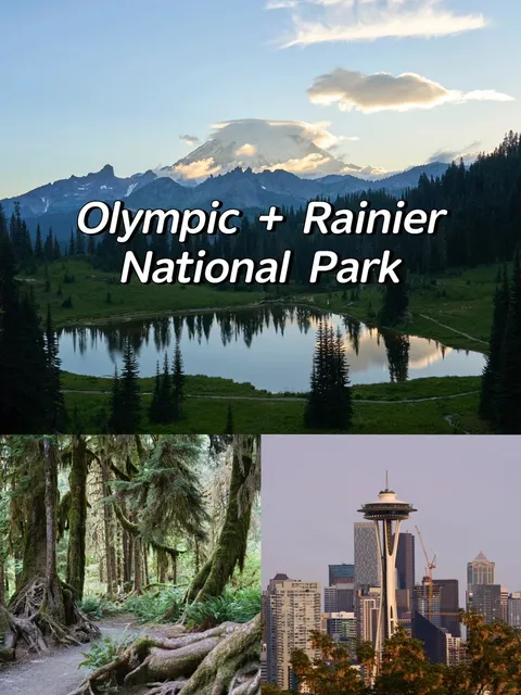 Seattle | Olympic & Mount Rainier National Park Guide