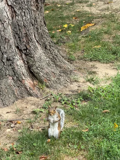 New York Delights 😋🍴🥐