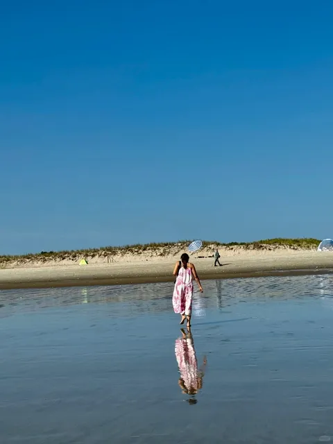 Plum Island: A Hidden Treasure Beach Near Boston in Ipswich