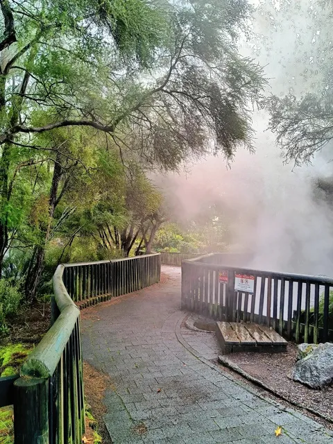 🌋 Kuirau Park: Rotorua’s FREE Geothermal Gem!