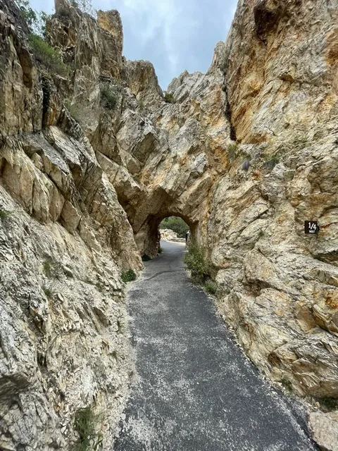 Mount Timpanogos National Monument 🏔️🌲  
