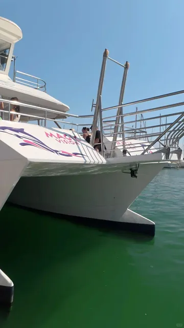 🐬 €19 Dolphin Adventure in Málaga!