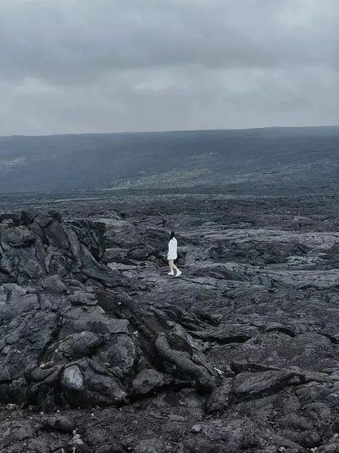 Hawai‘i Two-Island Chill-Log