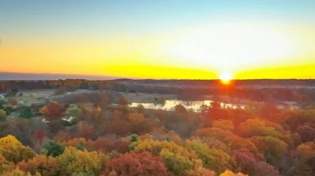 🍁 Holden Arboretum | Ohio’s Living Color Canvas