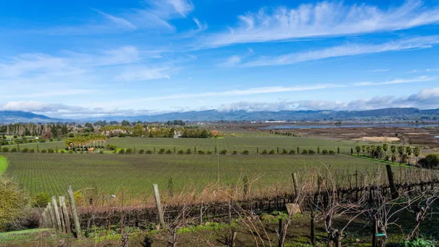 Sonoma Perfect One-Day Getaway | Wine, Art & History! 