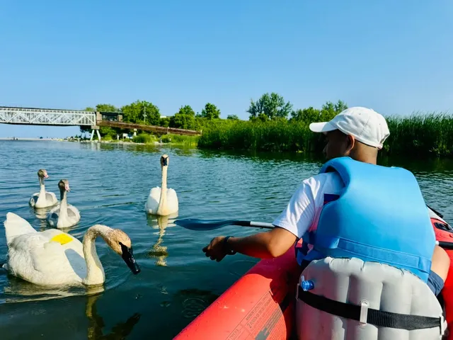 🛶 Toronto's Kayaking Spot is Absolutely Amazing! 🛶
