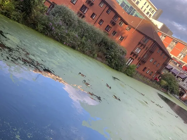 Hello, Birmingham 👋🏟😅