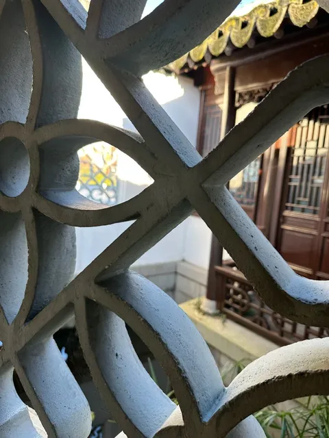 🇳🇿 "Wait... Is This REALLY New Zealand?!"