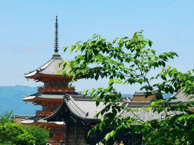 Kyoto Travel Diary 🌸🍃