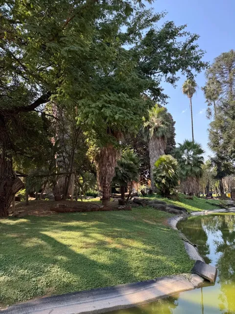 🦩 Pretoria's National Zoological Gardens, South Africa
