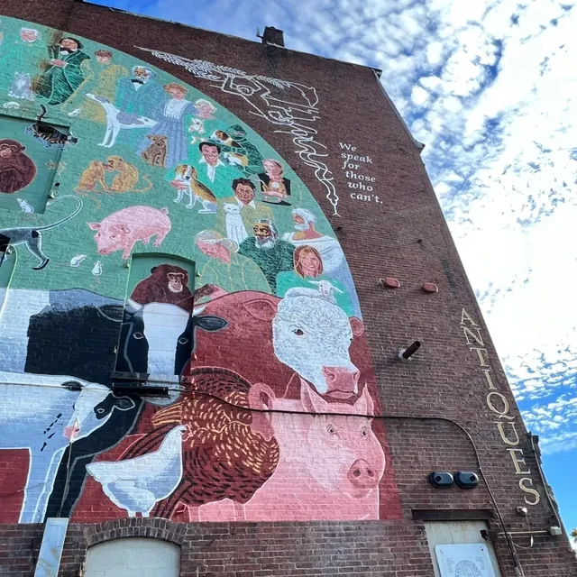 Exploring Boston’s Surroundings 