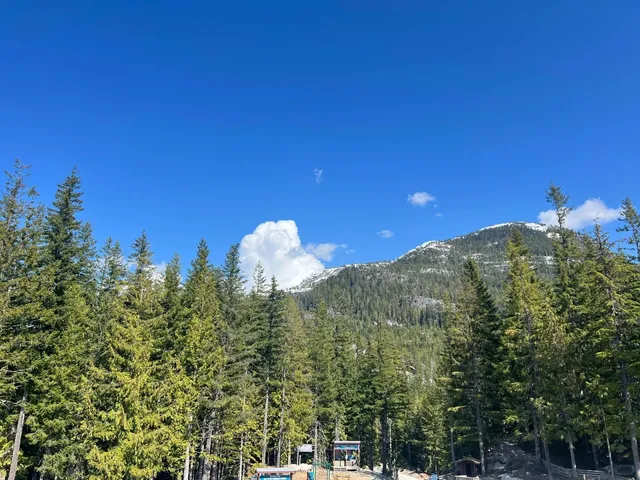 🇨🇦 Vancouver’s Sea to Sky Gondola: Even Better Than Switzerland! 🏔️