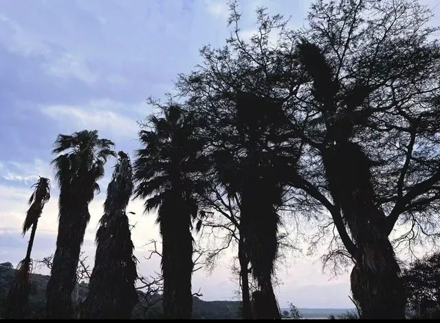 A freewheeling dry goods guide in Awasa, Ethiopia📱🏙️