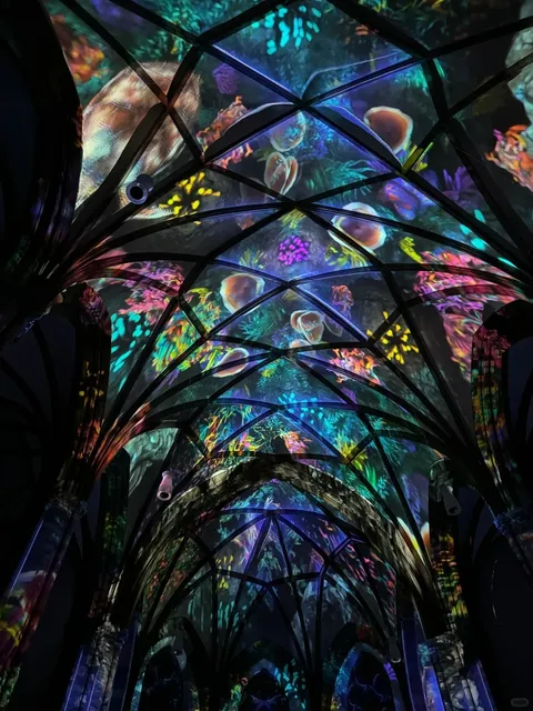 A Magical Encounter in Frankfurt ✨