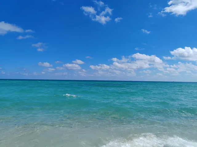 Only Insiders Will Tell You: The Ultimate Miami Fun Guide