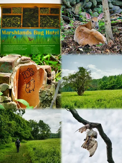 Around NYC | Discovering a Hidden Gem Park​​