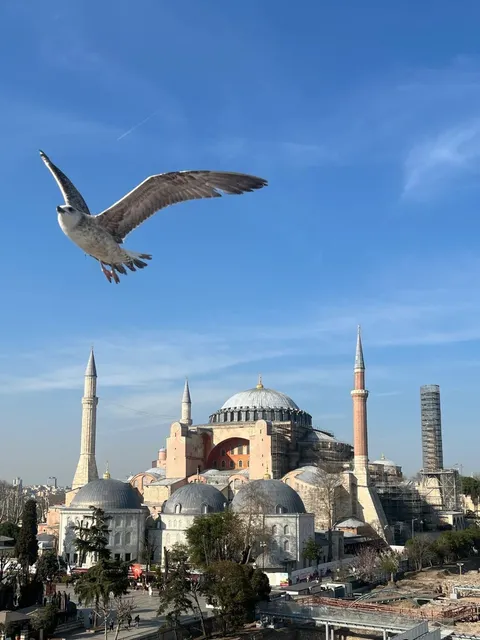 🇹🇷 Turkey Budget Trip: 3 Cities in 12 Days for Under $300!