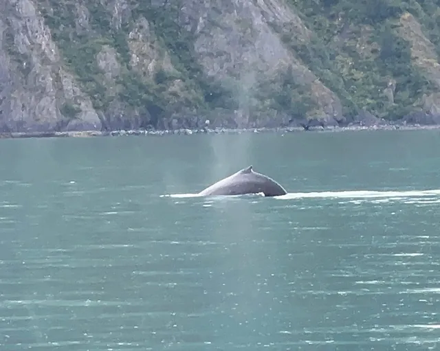  Alaska Summer 7-Day Itinerary: An Adventure of a Lifetime! 