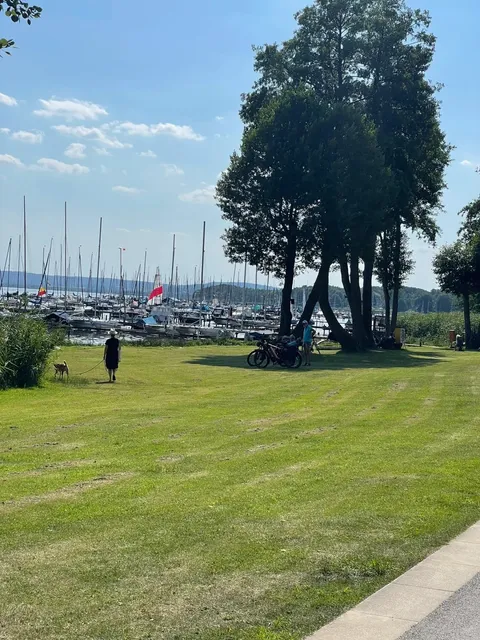 🇩🇪 Summer Escape in Hannover 🏖️ Steinhuder Meer (Cycling Edition)