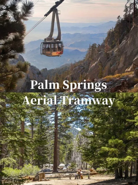 🌴 Palm Springs Travel Guide 🌵