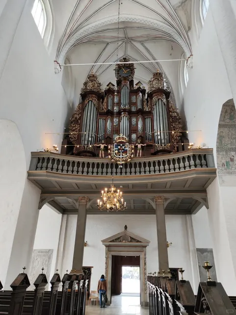 Aarhus Must-Visit | Discovering the Historic Aarhus Cathedral ⛪️