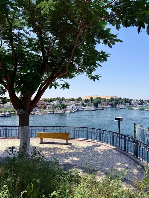 Aswan, Egypt | 7 Unbeatable Places You MUST Try! 🏆🍽️