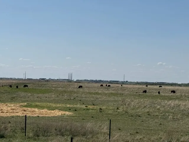 Wanuskewin Heritage Park – Saskatoon’s Bison Park
