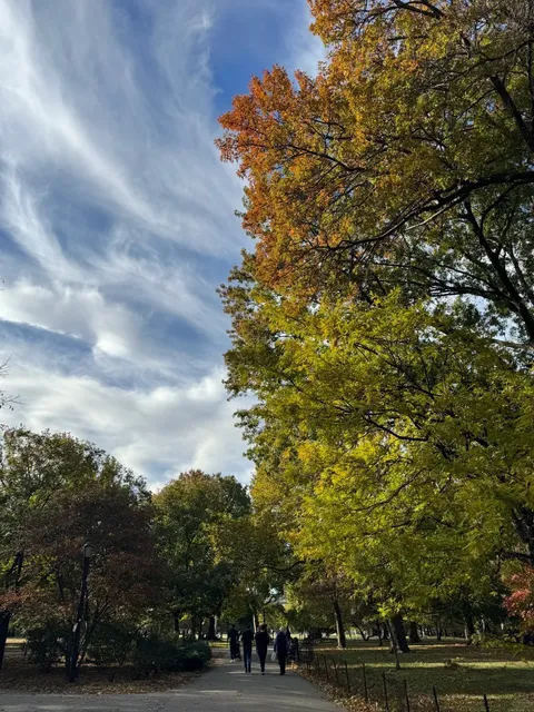 A Cozy Fall Morning in NYC 🍂 | The Croissant with Soul