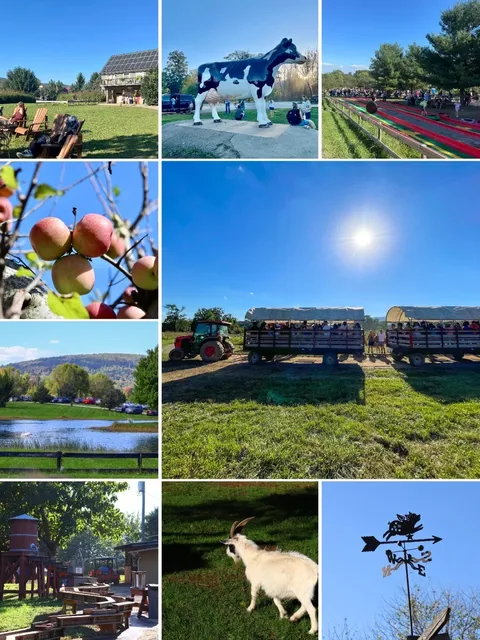 DMV｜Fall Harvest Fun at Great Country Farm 🍎🎃