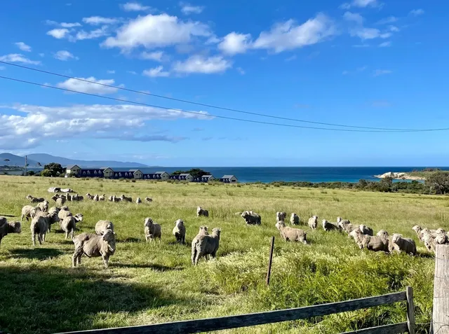 The Edge of the World: Tasmania | 🇦🇺 Travel Memo