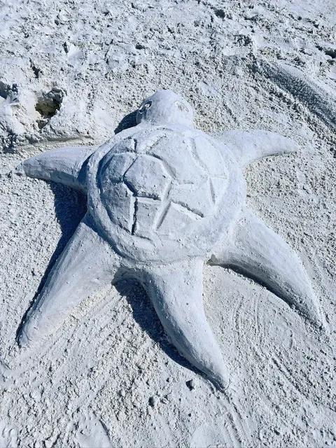 🇺🇸 [Tampa] Siesta Beach: Home to the World’s Best Sand!