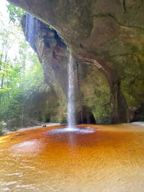 🐋Seeing a whale leap out of the sea brings good luck