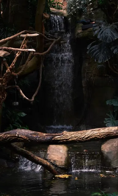 🦜 National Aviary | Pittsburgh's Soaring Spectacle of Feathers