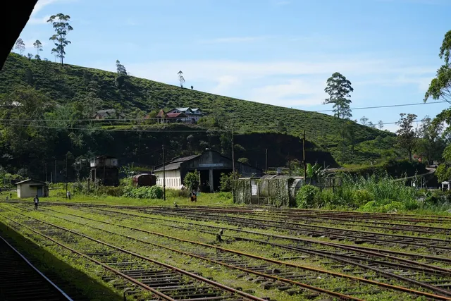 A Fairy-Tale Journey on Sri Lanka's Tea Garden Train