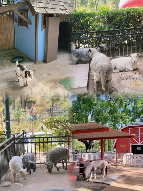 🏰 Fairytale Town in Sacramento – Perfect for Little Explorers!