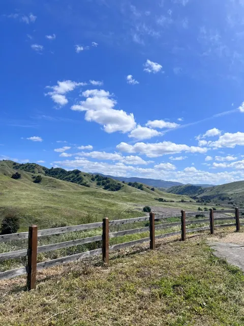 Chino Hills State Park｜East of Los Angeles 🌤️🌼