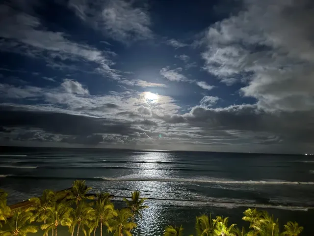 I Don’t Understand All the Negative Reviews... 🤔