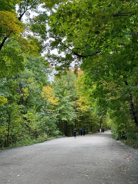 🌄Mont-Royal Park: Montreal’s Urban Oasis & Panoramic Paradise🏞️（1）