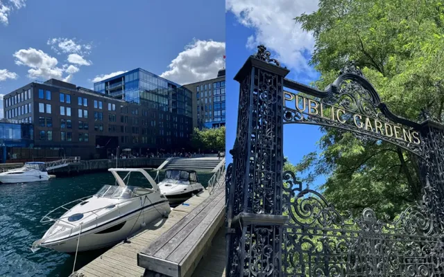 4-Day Maritimes Adventure Itinerary & Whale Watching Guide 🐋