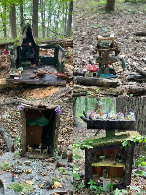 🌿 Discover Fairy Houses in the Woods at South Mountain! 🧚‍♀️