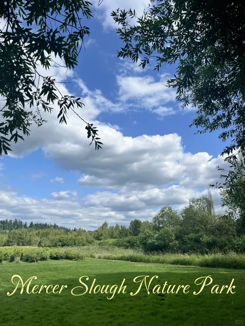 ​​Mercer Slough Nature Park | A Hidden Gem Near Seattle 🌿🦟​​