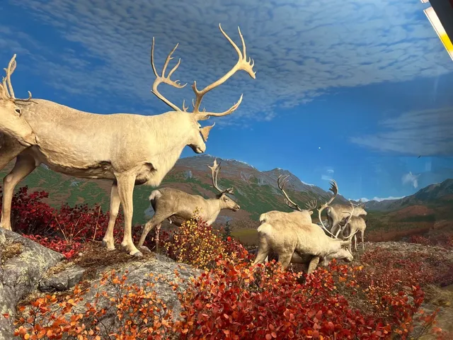 Denver Museum of Nature & Science. 🦕🔬