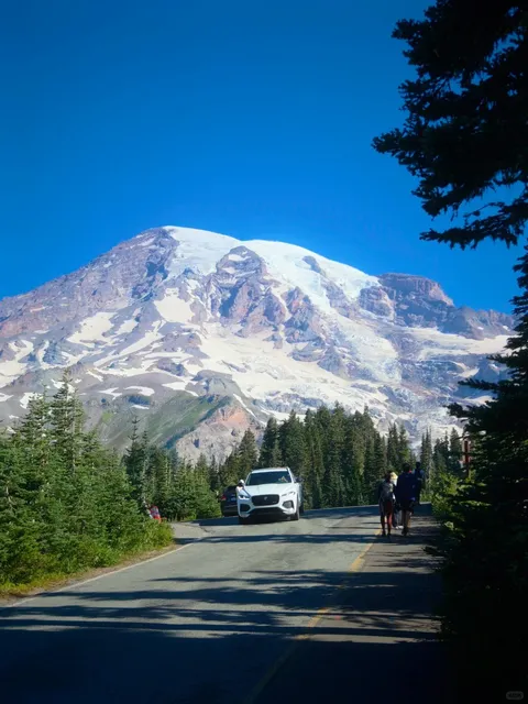 Pretending I'm in Switzerland @ Mount Rainier 🏔️🇨🇭