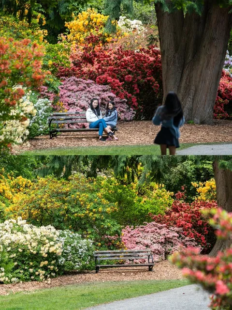 Seattle's May Secret Spot | A Dreamy Flower Path in Bloom 🌸🌿