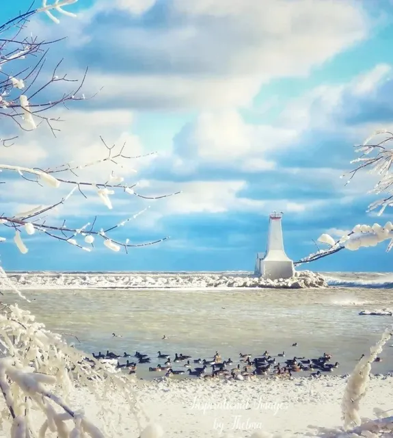 🌊 Toronto Day Trip | Car-Free Getaway to a Charming Town! 🚆✨